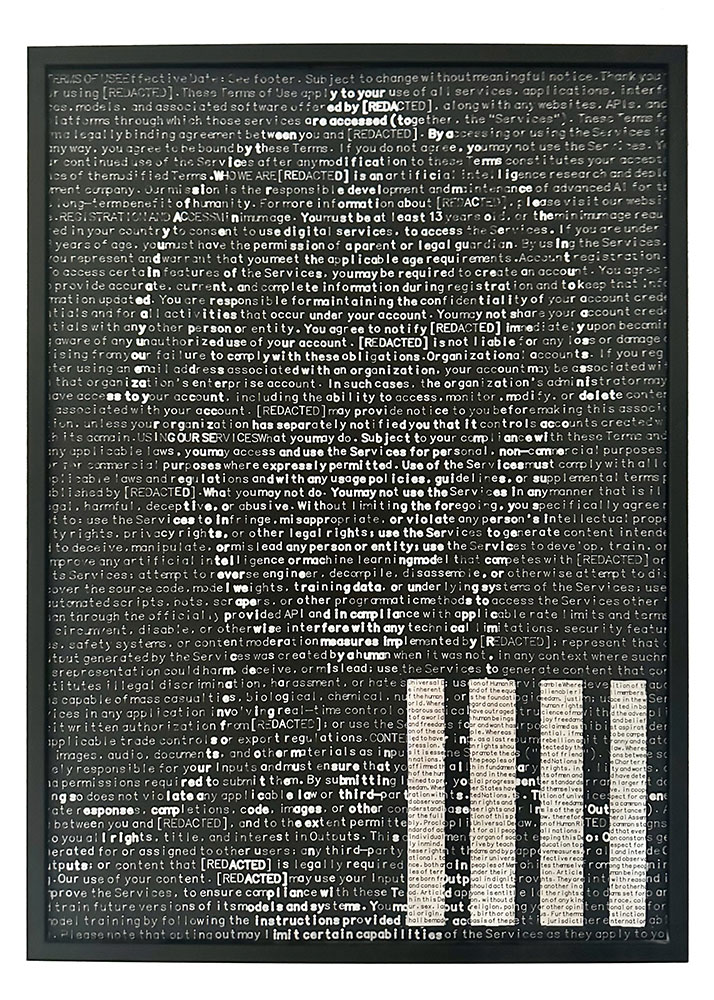 Nico Arbogast Universal Declaration of Human Terms and Conditions, 2026
